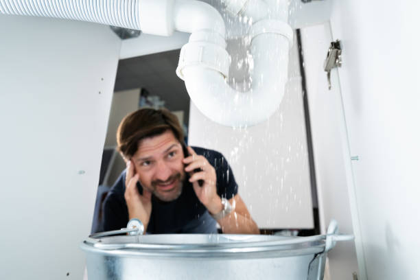 Best Sprinkler Systems  in Oakdale, MN