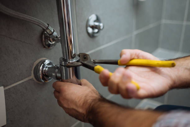Best Plumbing Inspection Services  in Oakdale, MN
